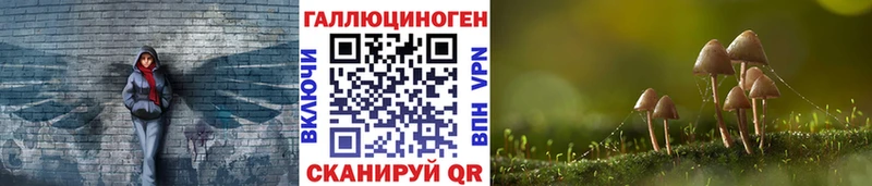 купить  цена  Аргун  Псилоцибиновые грибы мухоморы 
