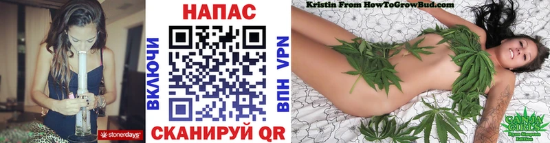 Каннабис сатива  Аргун 